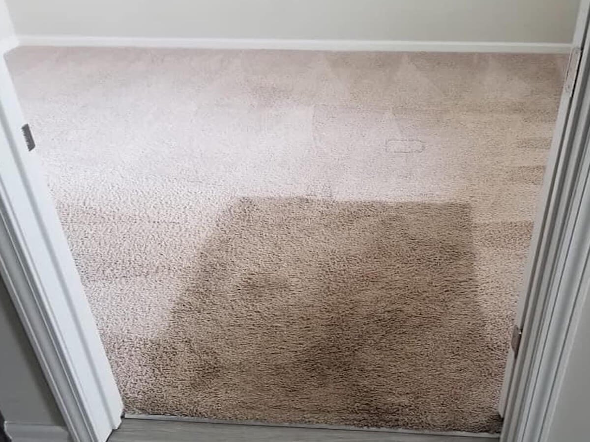 Before and after professional carpet cleaning in a Virginia Beach home